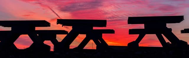 Three projects that help protect the natural world